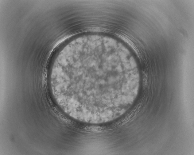 X0000115320971200912141154