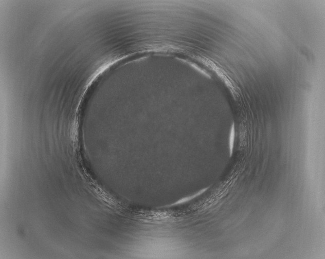 X0000115320975200912141154