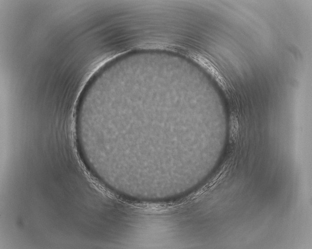 X0000115320976200912141154