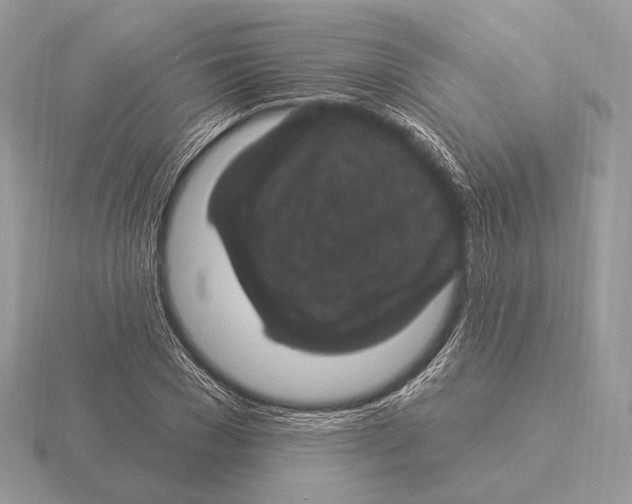 X0000115320977200912141154