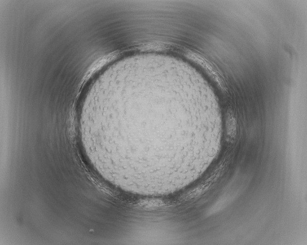 X0000115320978200912141154