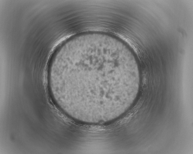 X0000115320979200912141154