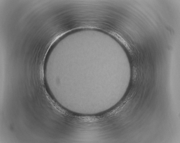 X0000115320980200912141154