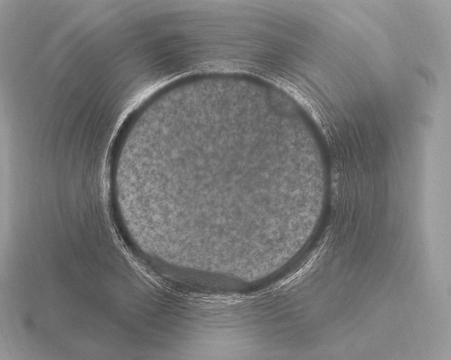 X0000115320981200912141154