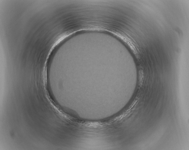 X0000115320982200912141154