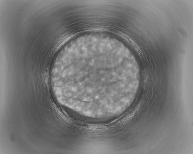 X0000115320985200912141154