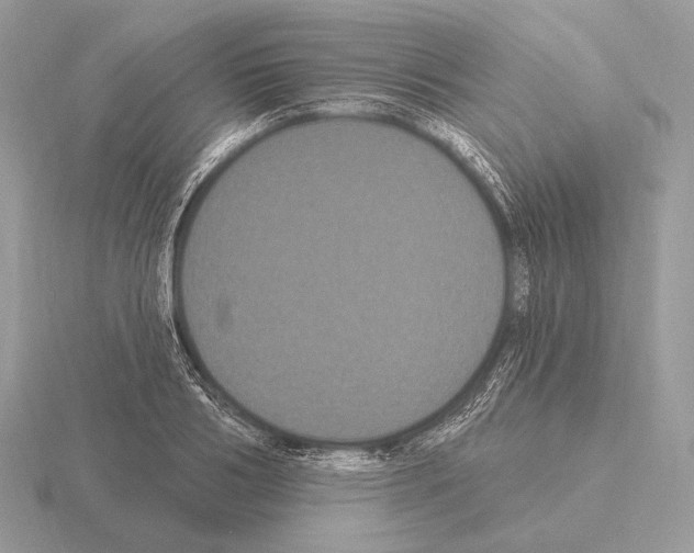 X0000115320986200912141154