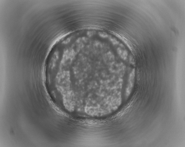 X0000115320987200912141154