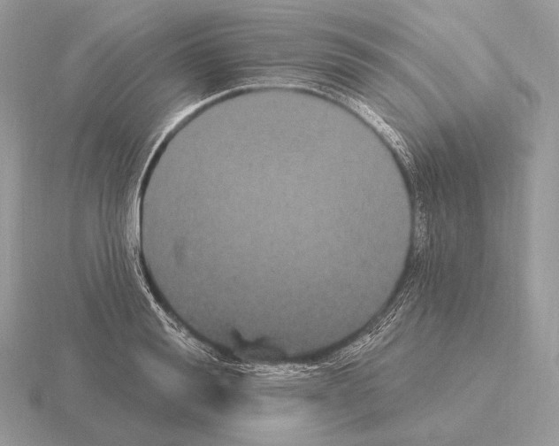 X0000115320988200912141154