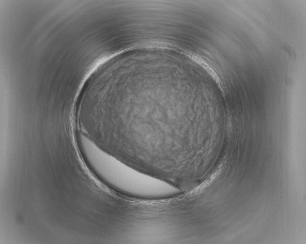 X0000115320989200912141154