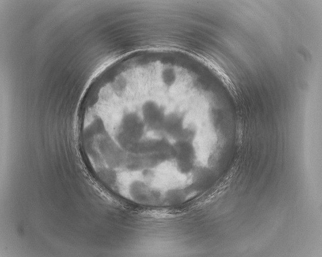 X0000115320990200912141154