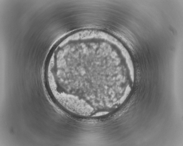 X0000115320991200912141154