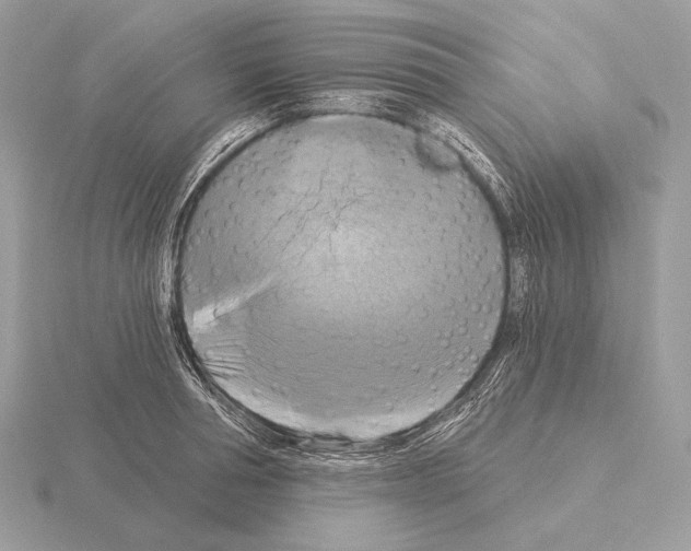 X0000115320994200912141154