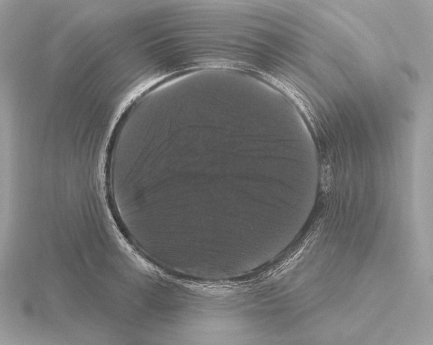 X0000115320995200912141154