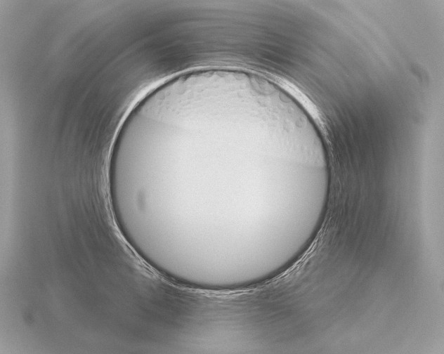 X0000115320996200912141154