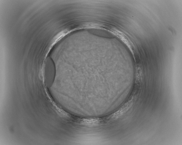 X0000115320997200912141154