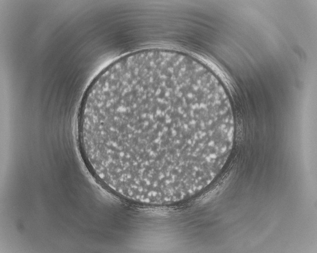 X0000115320999200912141154