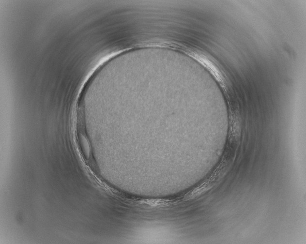 X0000115321000200912141154