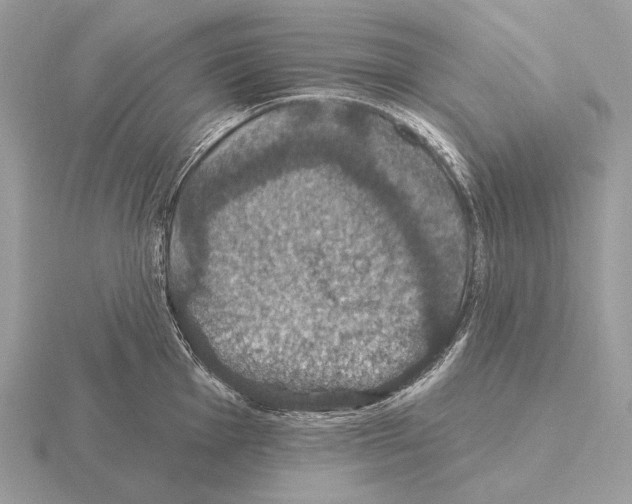 X0000115321001200912141154