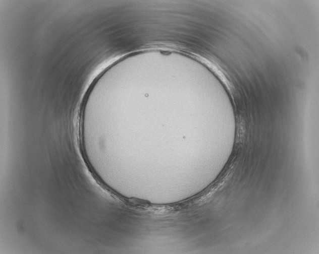 X0000115321003200912141154