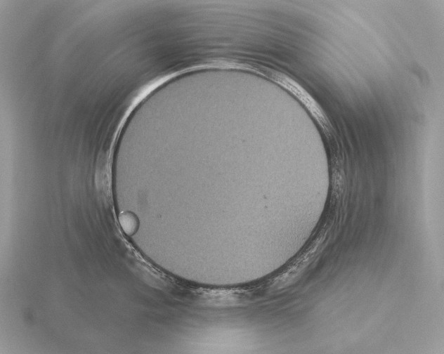 X0000115321004200912141154