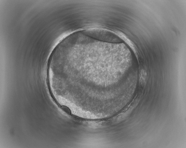 X0000115321005200912141154