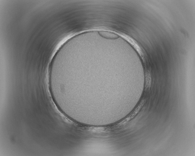 X0000115321006200912141154