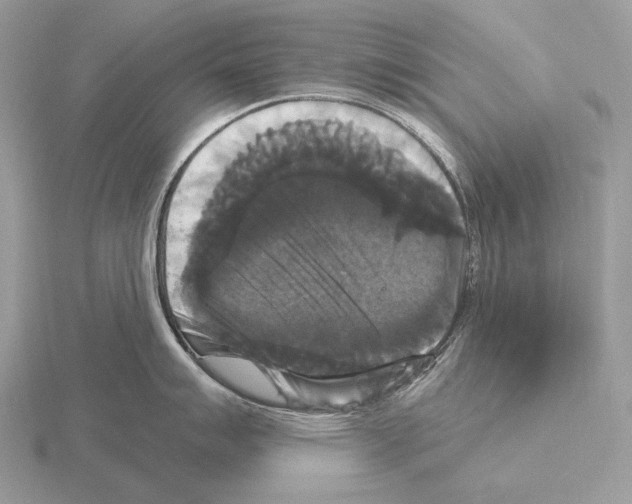 X0000115321007200912141154