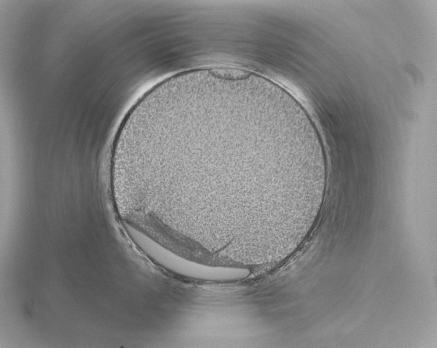 X0000115321008200912141154