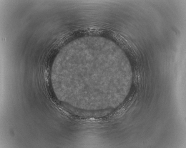 X0000115321010200912141153