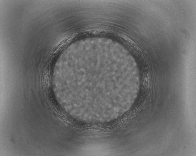 X0000115321014200912141153