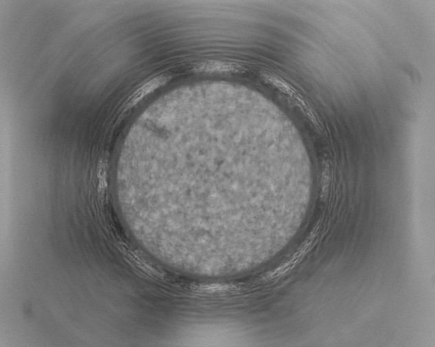 X0000115321017200912141153