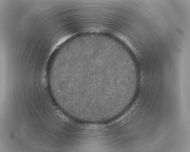 X0000115321018200912141153