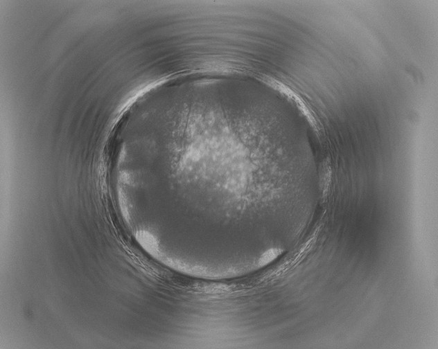 X0000115321019200912141153