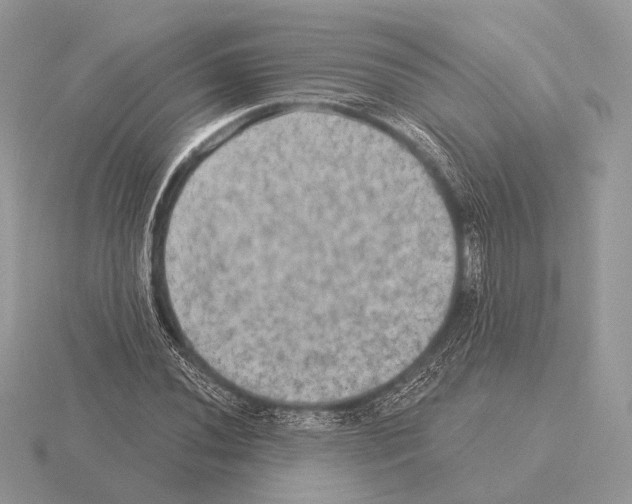 X0000115321020200912141153