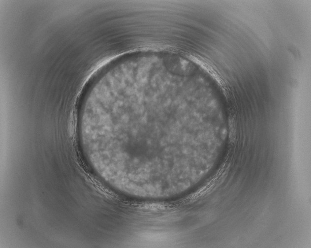 X0000115321021200912141153