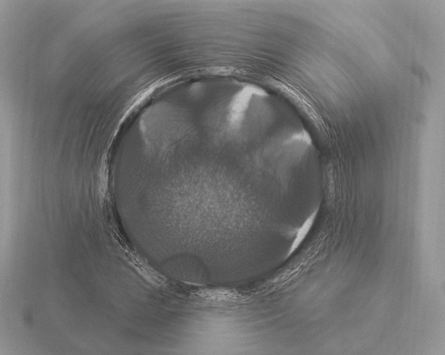 X0000115321023200912141153