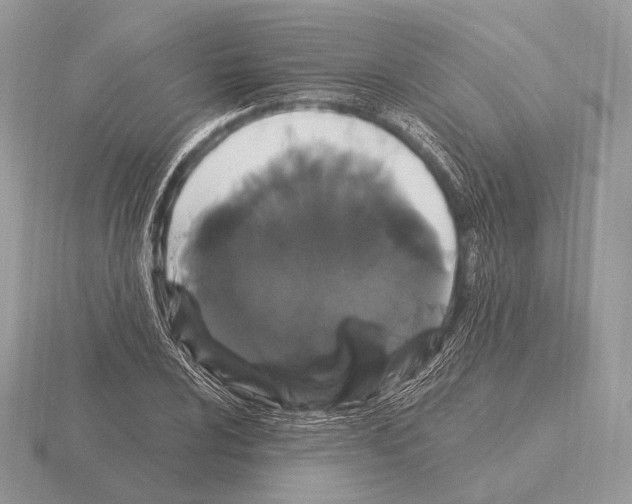 X0000115321024200912141153