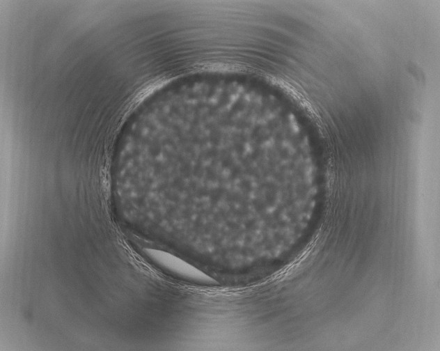 X0000115321025200912141154