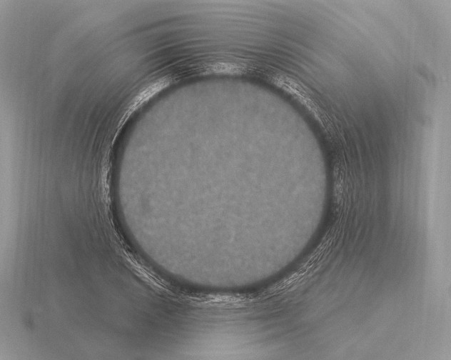 X0000115321026200912141154