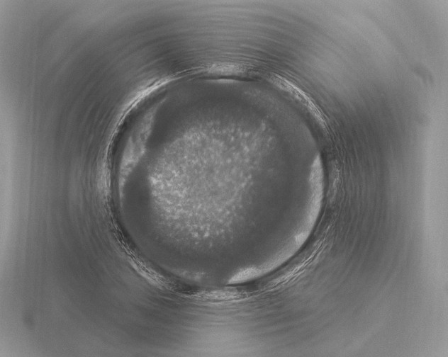 X0000115321027200912141154