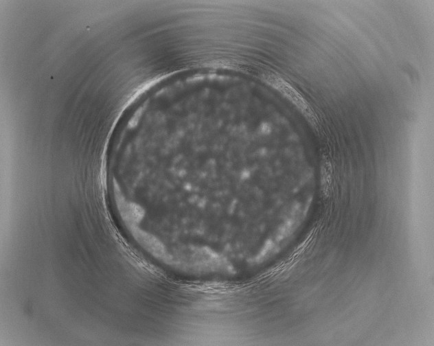 X0000115321028200912141154