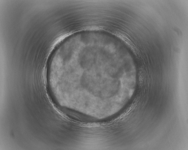 X0000115321030200912141154