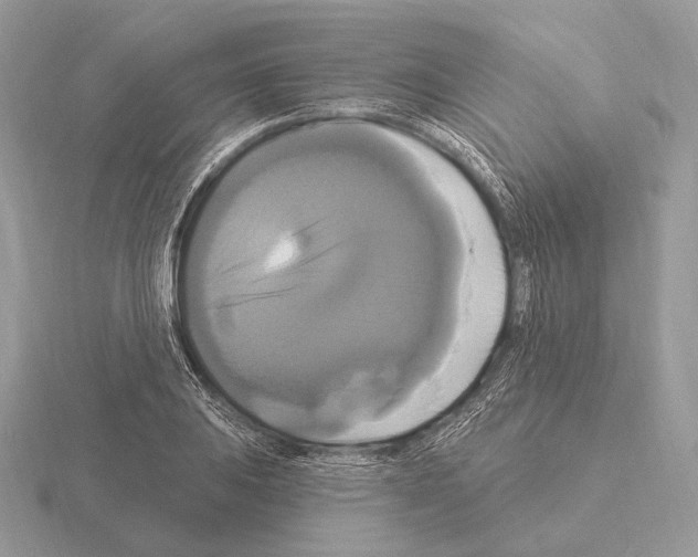 X0000115321031200912141154