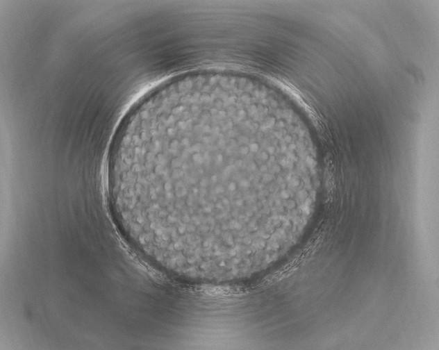 X0000115321032200912141154