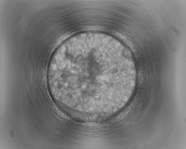 X0000115321033200912141154