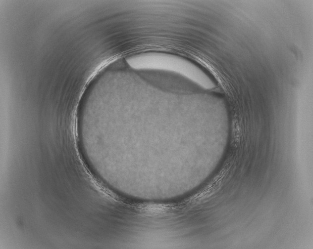 X0000115321034200912141154