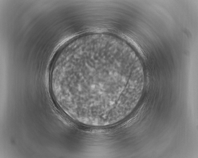 X0000115321035200912141154