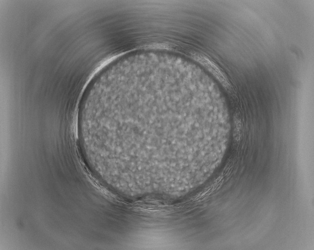 X0000115321036200912141154