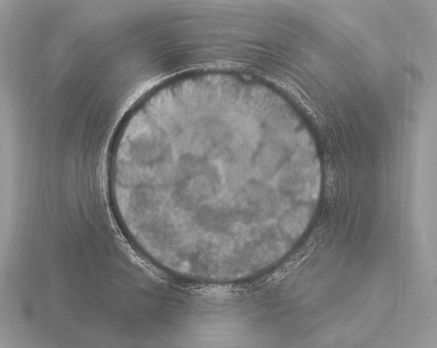 X0000115321038200912141154